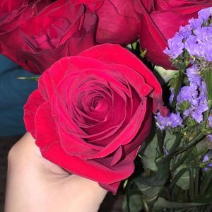 Meet your Posher, Mary